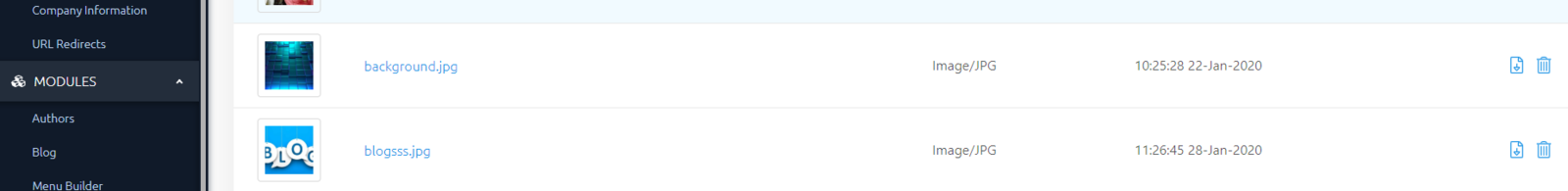 Check your new assets are visible in File Manager